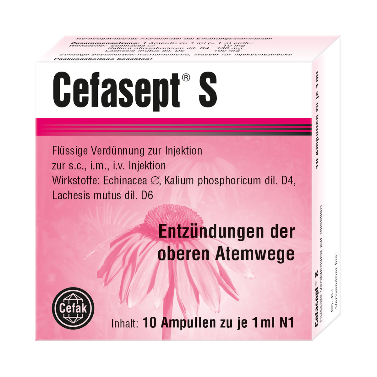 CEFASEPT S Injektionslsung